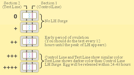 step7